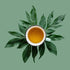 Flowery Jasmine, Loose Leaf Green Tea - Caffeinated | bulk 8oz, 80-100 cups | The Spice Hut, First Sip of Tea...