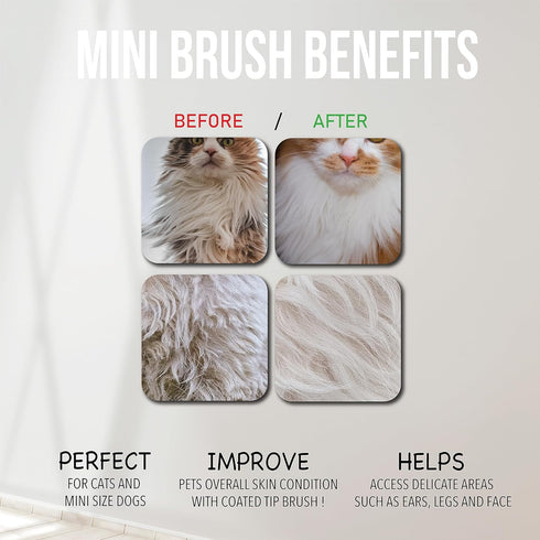 Slicker Brush for Small Dogs and Poodles - Coated Tips Massages Pet Skin - Cat Slicker Brush for Long Haired Cats - Wire Doodle Brush with Extra L...