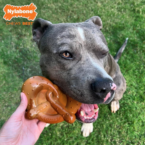 Nylabone Power Chew Pretzel Dog Chew Toy - Fun & Cute Dog Toys for Aggressive Chewers, Durable Dog Toys, Bacon & Peanut Butter Flavor, X-Large/Sou...