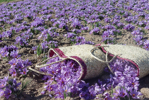 Zaffrus - Certified Organic Saffron Threads for Cooking Saffron Rice, Paella, Risotto, Soup, Desserts & Tea. (1 gram / .035 oz)...