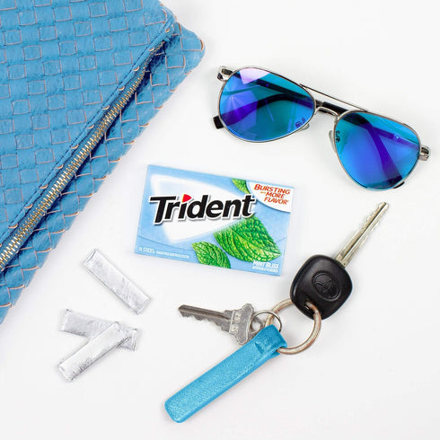 Trident Mint Bliss Sugar-Free Chewing Gum, 12 Packs of 14 Pieces (168 Total Pieces)...