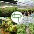 4 Set Hydro Halo Water Ring 5" W 3 Leg Support Drip Emitter Drip Ring with Built in 1/8 in Barbed Inlet Fitting 3 Removable Stakes for Grow Media ...