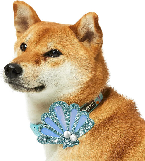 Blueberry Pet Summer Sparkle Dog Collar, Adjustable Medium Size, Neck 14.5"-20", Turquoise, Ocean Fish and Seahorse Print Nautical Pet Collar with...