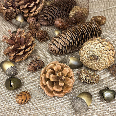 72Pcs Pine Cone Set, Natural Pinecone Acorns Pine Cones Ornaments for Autumn and Winter Crafts Decorating, Christmas Decor, Bowl Vase Fillers...