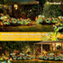 Solar Dragonfly Fairy Lights Outdoor Garden Decor 2 Pack, Newest Solar Swinging Firefly Animal Lights Yard Planter Patio Flowerbed Pathway Lawn De...