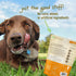 Pet Naturals Superfood Dog Treats with Blueberry and Kale - No Corn, Wheat or Artificial Ingredients - Healthy Snacks for Good Behavior and Traini...