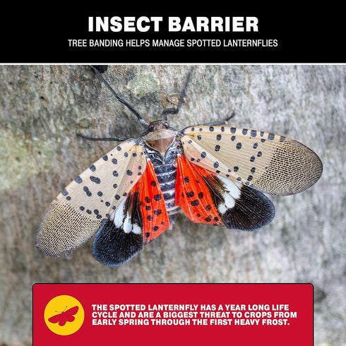 Catchmaster Tree Banding Insect Barrier DIY 15oz Pail, Lanternfly & Ant Traps, Outdoor Adhesive Crawling Insect Trap, Glue Traps to Protect Trees,...