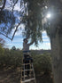 Eucalyptus Room Spritz. 4oz. Herbal. Made in USA....