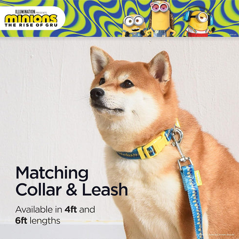 Minions Dog Leash, 4ft (48in) Blue and Yellow Minions in a Row | Gifts for Minions Fans and Their Pets | Officially Licensed Pet Product from Univ...