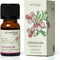 AROMAFUME Geranium Essential Oil - 100% Natural, Therapeutic Grade Essential Oils - Pure, Floral Aromatherapy Oil for Home Diffusers - Gifts for H...