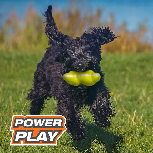 Nylabone Power Play Tennis Teddy Gripz Bear Dog Toy Teddy Medium (1 Count)...
