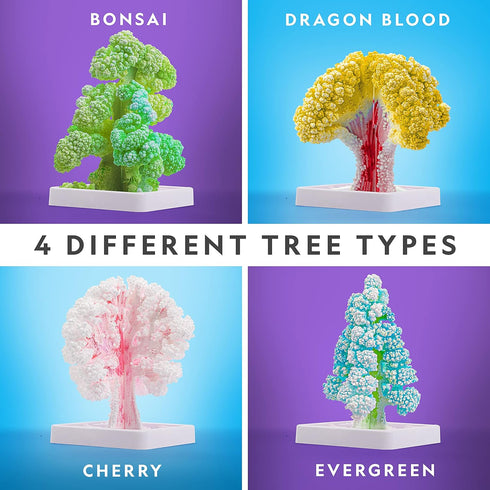 Kids Crystal Growing Kit - Grow 6 Crystal Trees in Just 6 Hours, Educational STEM Craft Kit with Art Supplies and Geode Specimen...