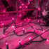 Purple Halloween Lights Outdoor,50 Count Incandescent Bulb Waterproof Fairy Lights?13FT UL Certified Mini String Lights for Holiday Decorations, C...