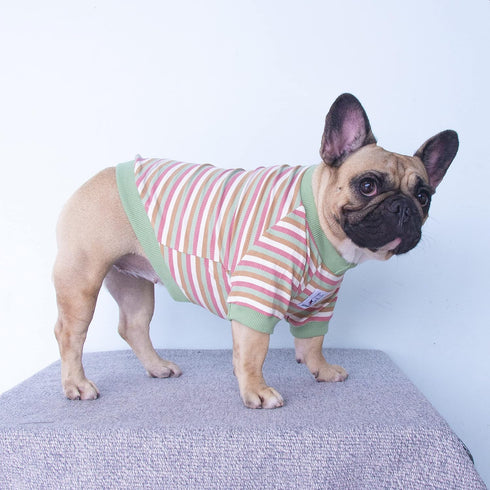 iChoue French Bulldog Summer Cooling High Stretchy Breathable Cotton T Shirts Vest Clothes for Medium Dogs Large Frenchie Pug English Pitbull Bost...