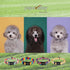 Dog Collar for X_Small Small Medium Large Dogs Pretty Boy Girl Nylon Polyester Pattern Collars with Safety Buckle, Adjustable for Male Female Pupp...