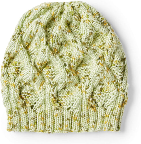 CARON Simply Soft Speckle Yarn, Lipstick...