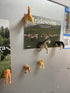 8Pcs Add Some Humor and Funny to Your Fridge with Dog Butt Magnets - Perfect for Home Refrigerator Magnets for Adults or Kids (Dog Butts)......