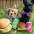Huxley & Kent for Dogs | Dr Pooper (Large) | Power Plush Dog Toy with Squeaker | Funny Dog Toy | Cute Dog Toy | H&K Squeaky Dog Toy...
