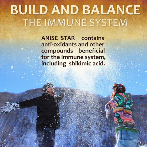 Star Anise Dietary Supplement – 100 Capsules Anise Extract for Men and Women – Natural 1000mg Powerful Formula with No Fillers, Preservatives – Im...