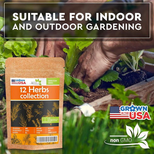 12 Culinary Herb Seeds Pack - Heirloom and Non GMO, Grown in USA - Indoor or Outdoor Garden - Basil, Parsley, Dill, Cilantro, Rosemary, Mint, Thym...