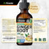 Ginger Root Tincture - Organic Ginger Root Extract - Natural Ginger Supplements for Overall Wellness - Alcohol and Sugar Free - Vegan Drops 2 Fl.O...