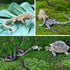 Toymany 12PCS Reptile Animal Figurine Toys Set, Cold Blooded Amphibians Desert Animal Figures with Komodo Dragon Lizard Snake Chameleon Rainforest...