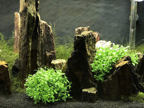 BEGONDIS Aquarium Decorations Fish Tank Artificial Green Water Plants Made of Soft Plastic, Safe for All Fish & Pets (Style-3)...