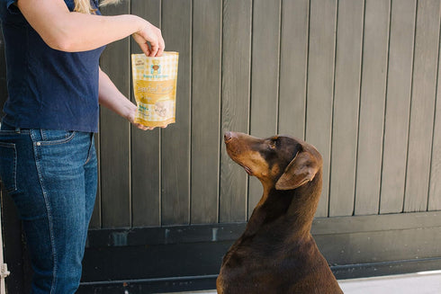 Freeze Dried Superfood Snacks for Dogs Pumpkin+Kale All Natural Dog Treat...