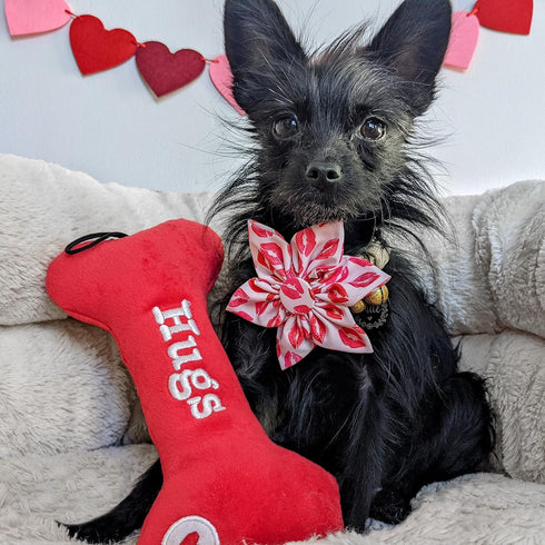 Huxley & Kent Pet Pinwheel | Kisses (Small) | Valentine's Day Velcro Collar Accessory for Dogs/Cats | Bow Collar Attachment | Cute, Comfortable Ac...