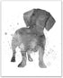 Summit Designs Dachshund Wall Art Set of 4 (8x10) Unframed Prints – Cute Dog-Themed Decor for Kids’ Rooms, Dog Lovers, and Pet-Themed Spaces – Gif...