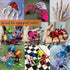 200PCS Upgraded Yellow Pipe Cleaners Bulk Craft Chenille Stems DIY Art Supplies Colorful Thick Fluffy Fuzzy Wire Sticks for Kids and Adults...