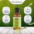 Viva Doria 100% Pure Lemongrass Essential Oil, Undiluted, Food Grade, Guatemalan Lemongrass Oil 30 mL (1 Fl Oz)...