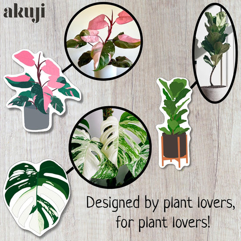 Plant Magnets for Fridge & Kitchen - Nature & Decor Potted Plants | Refrigerator Magnet Accessories & Gifts for Plant Lovers - Monstera & Cactus A...