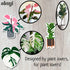 Plant Magnets for Fridge & Kitchen - Nature & Decor Potted Plants | Refrigerator Magnet Accessories & Gifts for Plant Lovers - Monstera & Cactus A...