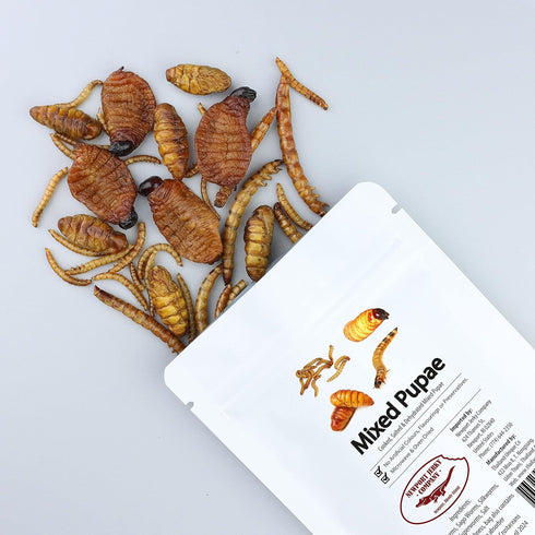 Newport Jerky Company Edible Insects (Mixed Pupae)...