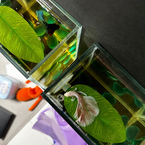 DOBA No Wire Betta Bed Leaf Hammock, Silk Betta Fish Leaf Hammocks Pad Lounger Toys Lightweight and Realistic Fish Hideout Plastic Aquarium Plants...