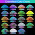 Renfio Chameleon Chunky Glitter, Mixed Fine Powder Color Shift 1.75 Oz (50g) PET Flake Orange Green Purple Glitters Sequin Resin Pigment Chip Dust...