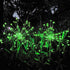 JJGoo Solar Garden Lights Solar Firework Lights, 2 Pack 120 LEDs 2 Lighting Modes Solar Lights Outdoor Waterproof for Garden Patio Walkway Pathway...