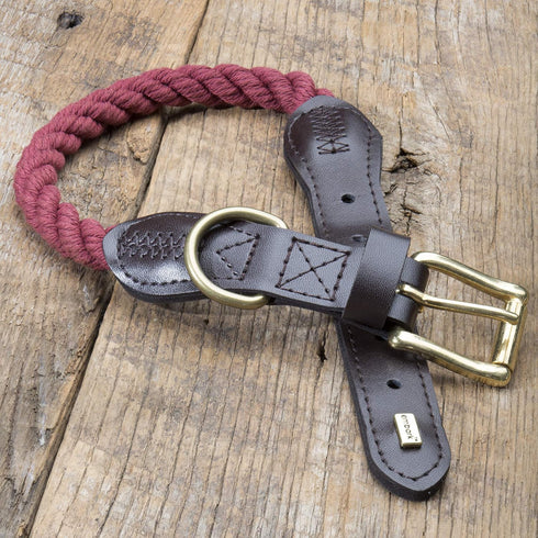 Embark Pets Country Dog Rope Collar - Braided Cotton and Rolled Leather Dog Collar for Small Dogs - Durable Dog Collars for Small Dogs and Strong ...