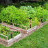 80 Pcs Drip Irrigation System Kit for 1/4" Drip Irrigation Tubing Adjustable Drip Emitters Irrigation Parts for Garden Greenhouse Yard Lawn Plant ...