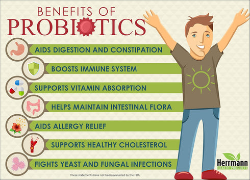 Probiotics by Herrmann Health Products | Probiotic for Men and Women | High Potency 7 Strain Formula | 5.75 Billion Organisms per Capsule | Non-GM...