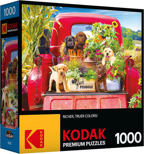 RoseArt - Kodak Premium - Stowaways - 1000 Piece Jigsaw Puzzle for Adults...