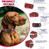Dog Collar with Bohemia Floral Tribal Geometric Patterns, Soft Ethnic Style Collar for Boys and Girls Puppy, Adjustable Pet Collar for Small Mediu...