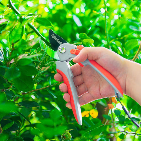Bypass Pruning Shears - 8" Garden Shears Pruning, Heavy Duty Garden Clippers Handheld with Orange Adjustable Grip, Gardening Pruners Tool for Trim...