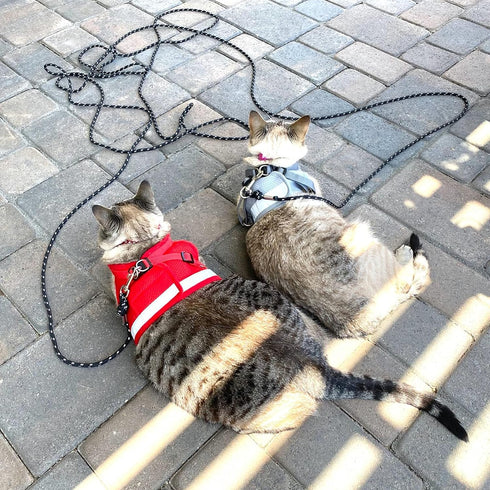 Cat Leash - 15 ft / 30ft Reflective Long Cat Leash Outdoor for Walking Training Playing - Escape Proof Yard Lead Pet Leash Also for Cats, Small Do...
