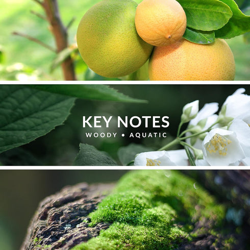 Territoire Eau De Parfum, Men's Cologne (Platinum)...