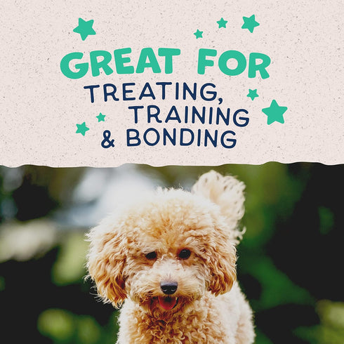 Natural Balance Limited Ingredient Mini-Rewards Chicken Grain-Free, Training Treats for Dogs | 5.3-oz. Canister...