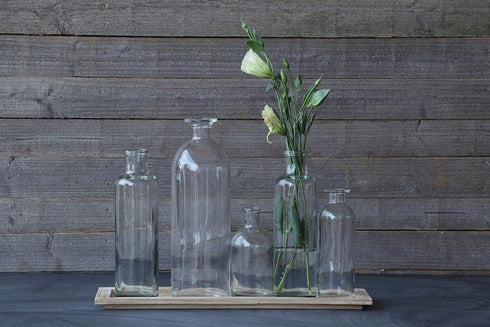 Creative Co-Op Set of 5 Vintage Bottle Vases on Wood Tray...
