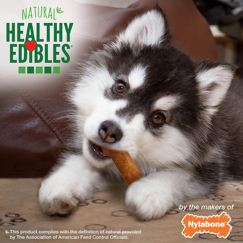 Nylabone Healthy Edibles Natural Puppy Chews Long Lasting Turkey & Sweet Potato Flavor Treats for Dogs, X-Small/Petite (4 Count)...