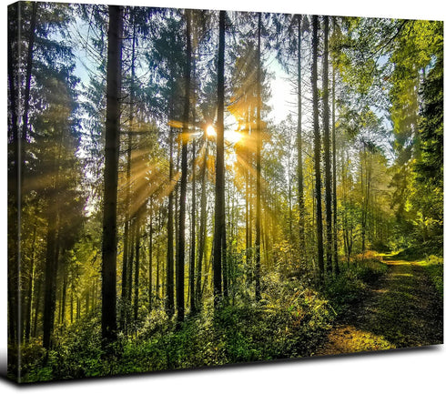 Forest Wall Art Nature Pictures Wall Decor Living Room Mountain Landscape Photo Prints Sunrise Green Trees Scenery Poster Painting Framed Artwork ...